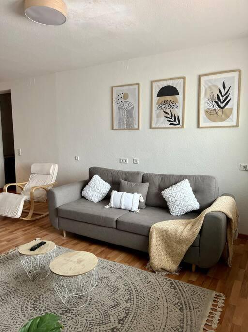 Apartment Entire Flat For Schwetzingen,mannheim & Hd